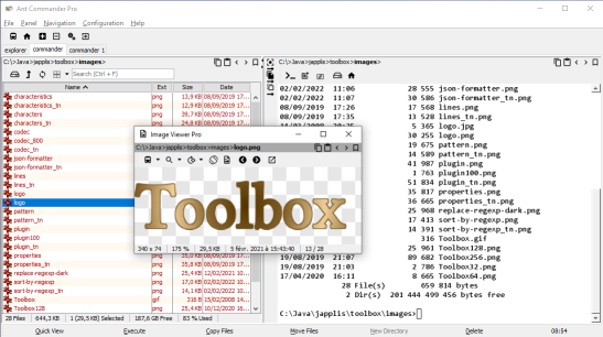 Ant Commander Pro terminal and image quick view