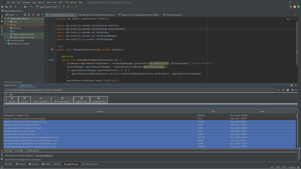 M2 Repo Cleaner running in IntelliJ IDEA with the Applet Runner plugin